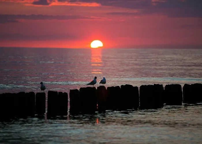 Hotel Hotel Residence Rewal